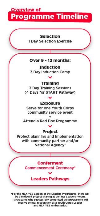 timeline mobile timeline mobile